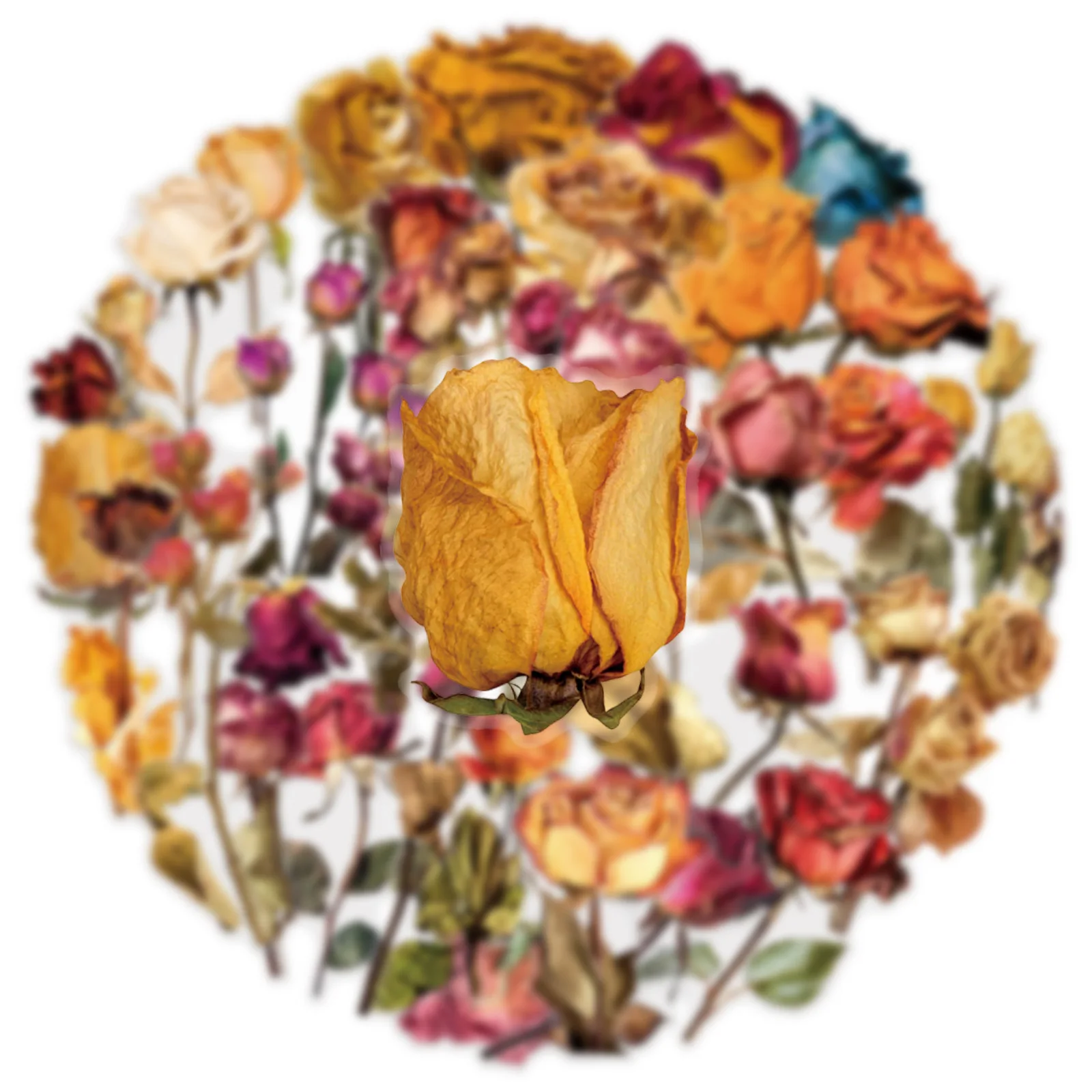 50/100PCS โปร่งใส PET ดอกกุหลาบสติกเกอร์ DIY โน้ตบุ๊ครถจักรยานยนต์เดสก์ท็อปเครื่องเขียนสติกเกอร์ตกแต่ง