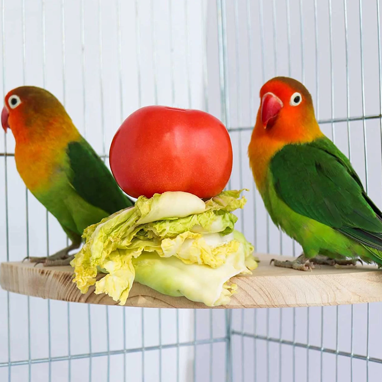 

Wooden Roost for Birds Natural Wood Parrot Standing Perch Elevated Platform for Canaries Cockatoos Cage Decor and Function