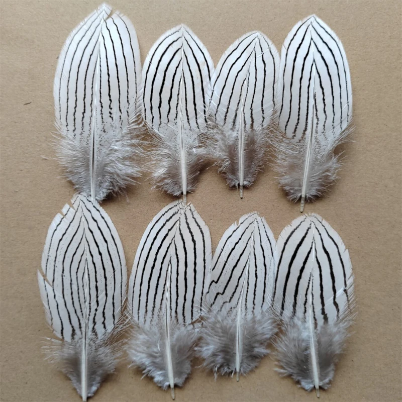 

100Pcs Natural Silver Pheasant Feathers for Craft Millinery Fly Fishing Decoration Clothing Accessories,4-6inches 10-15cm long