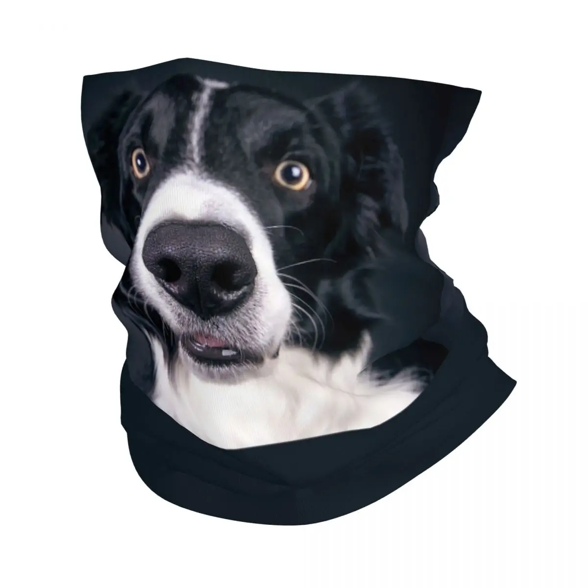 Cute Dog Face Nose Bandana Neck Gaiter Printed Wrap Mask Scarf Multifunction Cycling Scarf Running For Men Women Adult Winter