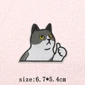 PE13179CT