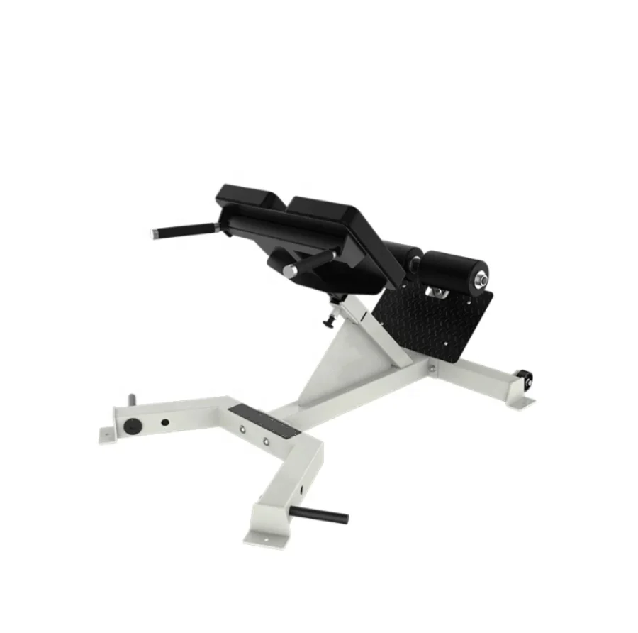 

Gym Fitness Equipment Back Extension Roman Chair Hyper Back Extension 45 Degree Back Extension Exercise Bench