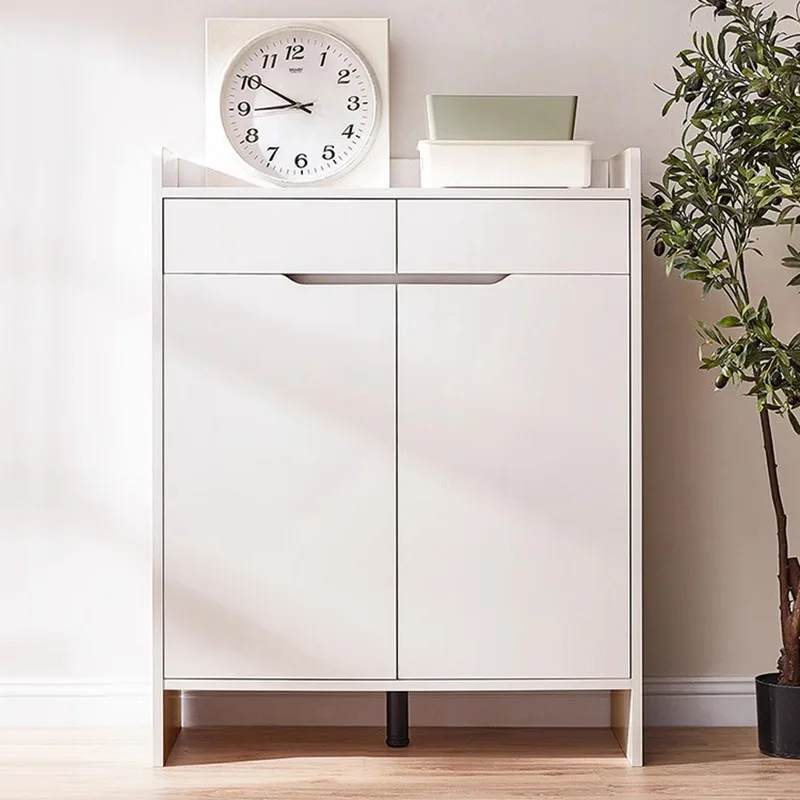 Restoran Menghemat Ruang Lemari Sepatu Penyimpanan Organizer Rak Sepatu Universal Asrama Perguruan Tinggi Penting Archivadores Perabotan Rumah