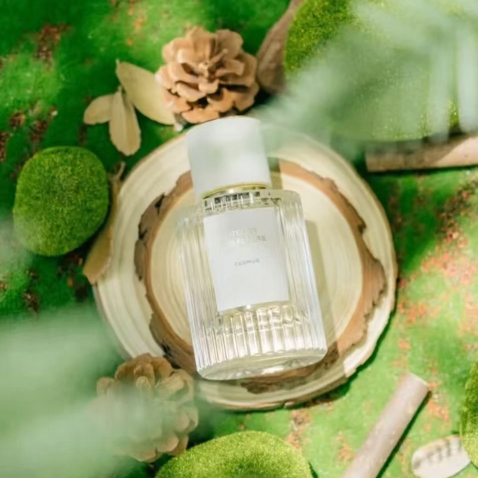 50ML Premium Perfume Blending Cedar Vetiver And Sandalwood Long-lasting Forest-inspired Fragrance That Feels Healing And Warm