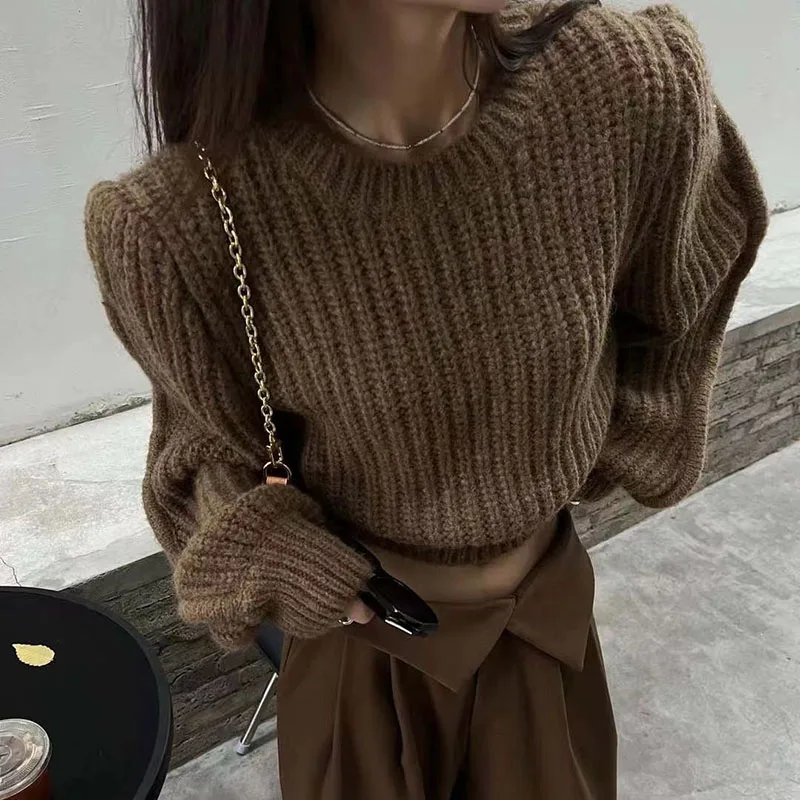 Lucyever Sweater Women Knitted Pullover Autumn Winter All-Match O-Neck Jersey Jumper Female Fashion Streetwear Short Sweaters