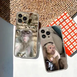 Monkey Sipping Caprisun Meme Phone Case for iphone 15 14 13 12 Pro Mini 11 Max Xr X Xs 7 8 Plus Transparent silicone