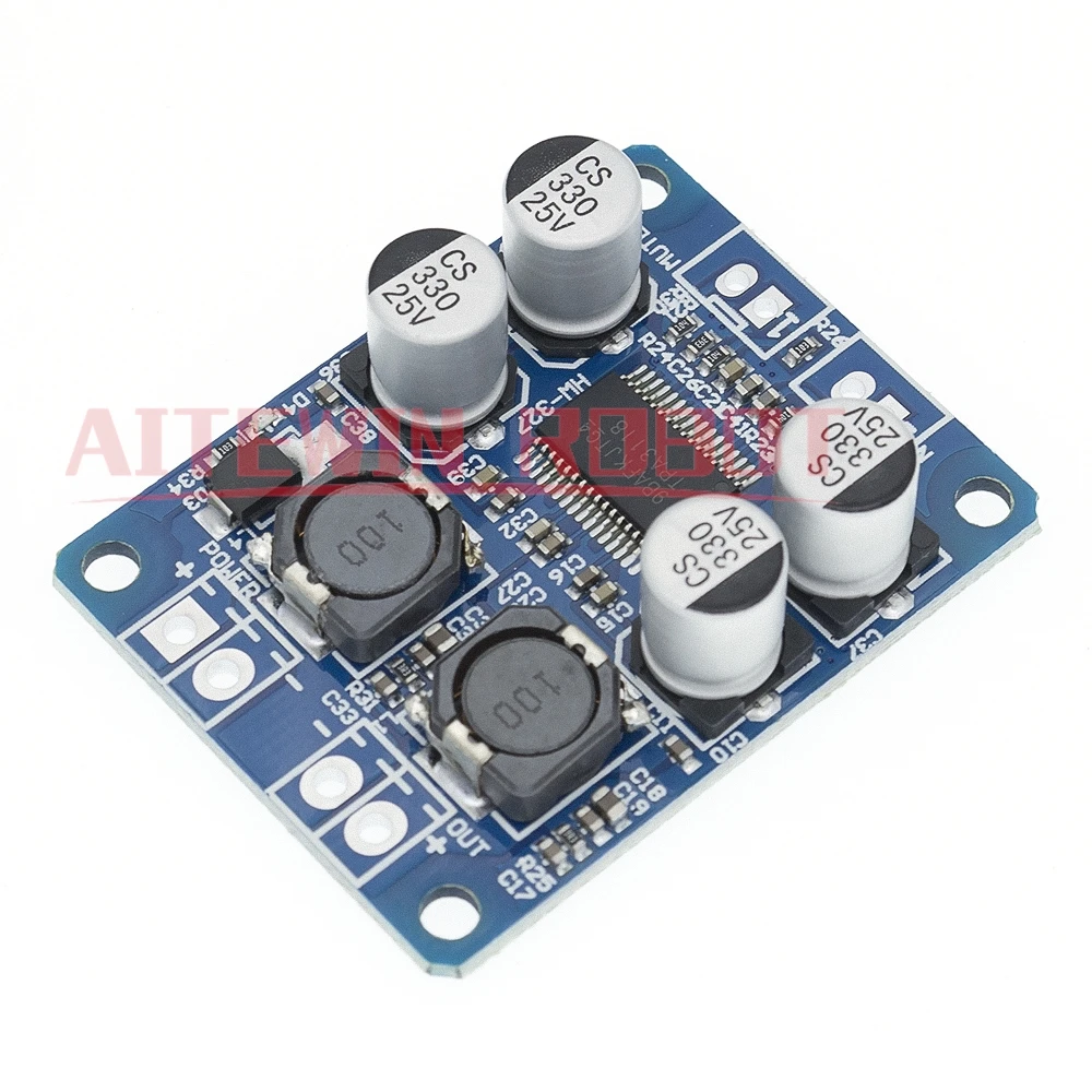 TPA3118 60W Mono Amp Board