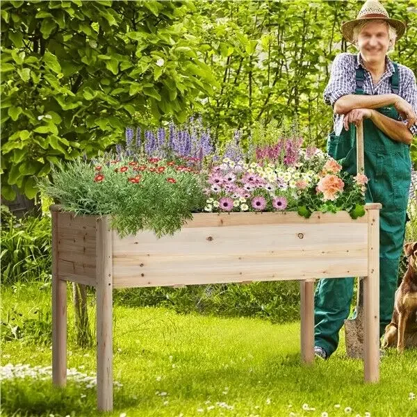 User inière en bois surélevée avec pieds, support de boîte, lit de jardin suréWer, herbes, fleurs, idéal pour l'extérieur