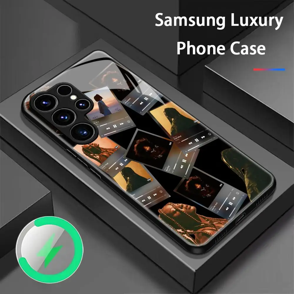 Tems Phone Case For Samsung S26 S25 S24 S23 S22 S21 S20 Plus Ultra Fold A Glass Magnetic Case