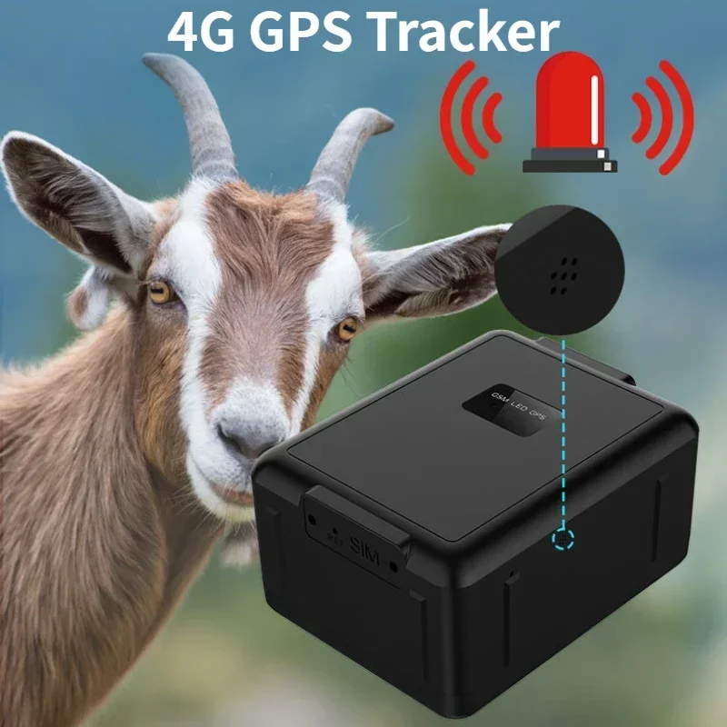 4G GPS Tracker 4G LTE/3G WCDMA/2G GSM Networks WIFI 30000mAh Battery SOS Alarm Sheep Cow Cattle Horse Tracker V55 Tracker