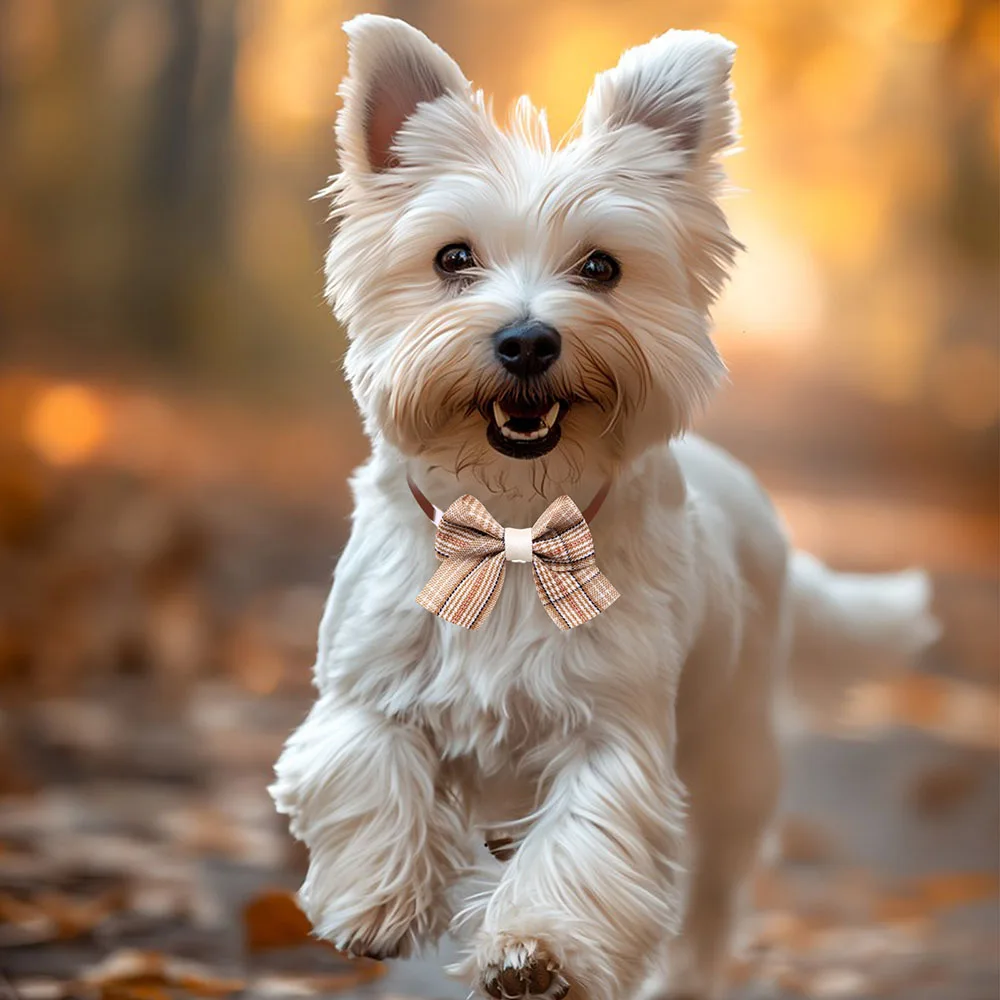 10 قطعة جرو الانحناء قابل للتعديل الكلب القوس العلاقات متعدد نمط الكلب بووتيس أطواق للحيوانات الأليفة للكلاب والقطط الحيوانات الأليفة الاستمالة اكسسوارات