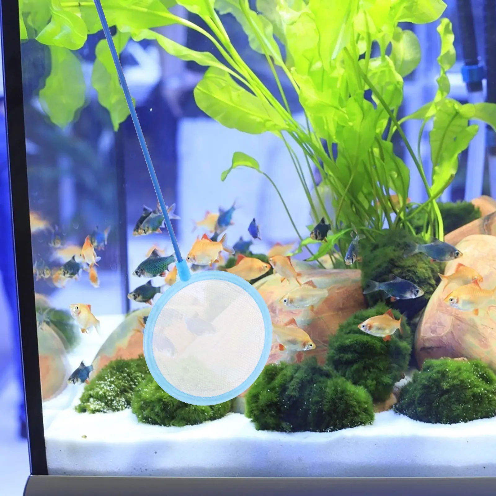 

10pcs Aquarium Fishing Lightweight Tank Scoop Compact Landing Net With Handle Tank Fish Net For Aquarium Fish Cage Cleaning Tool