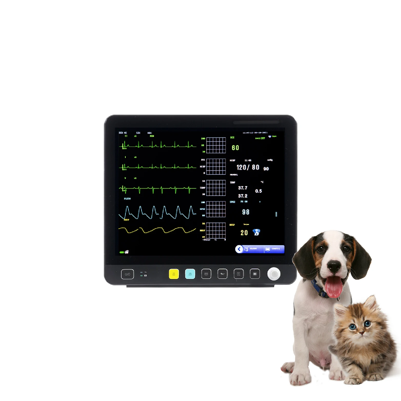 

ECG Veterinary Hospital Clinic ICU Surgery Multi Parameter Vital Signs Monitor