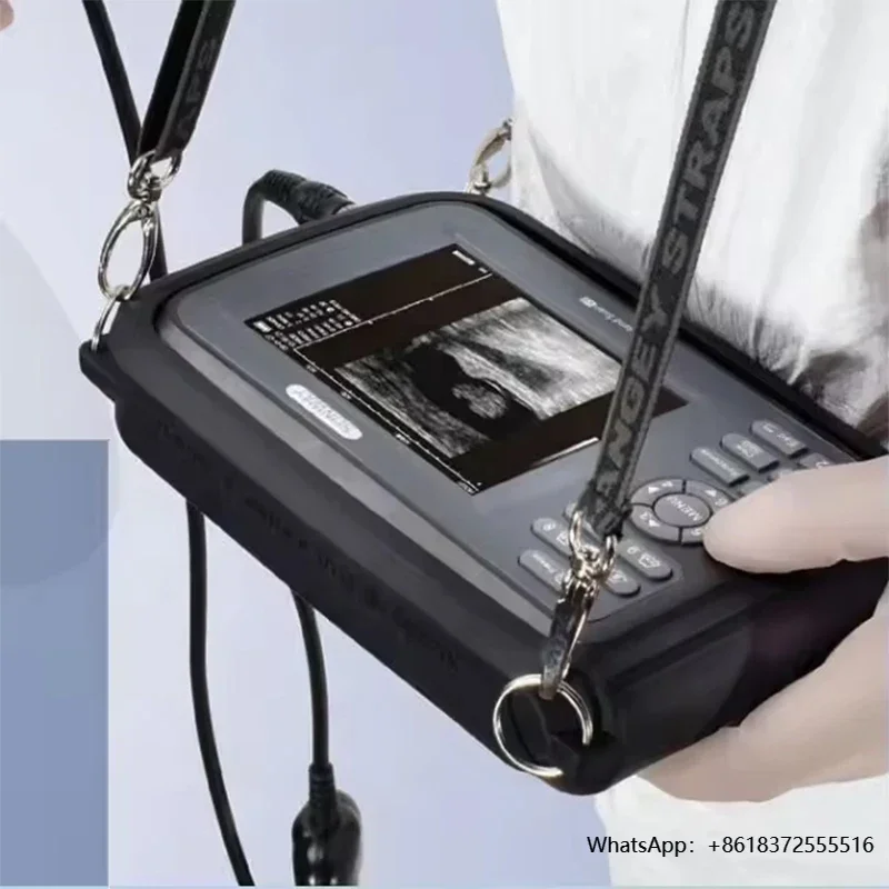 

Professional and High Quality Handheld Diagnostic Veterinary Ultrasound Scanner Machine for Animals