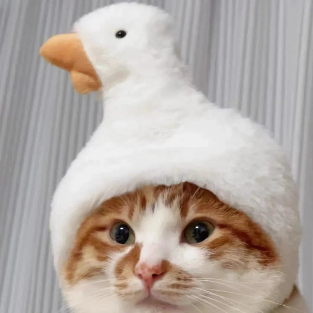 Zabawna czapka z kotem Niedźwiedź Pluszowa nakrycie głowy Śliczny kot Pies Tkany ciepły nakrycie głowy Czapka dla zwierząt Kociak Szczeniak Kostium Cosplay Akcesoria — zdjęcie 5