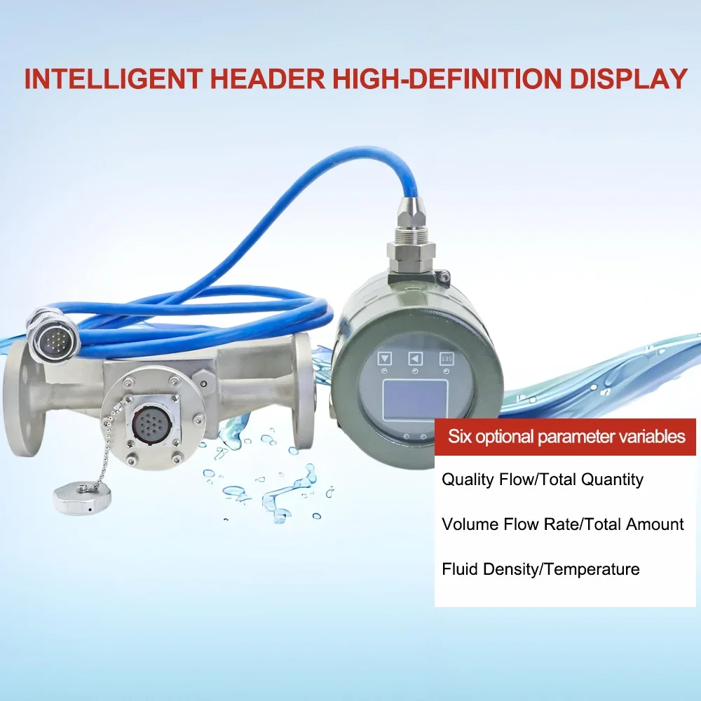 DN50 Coriolis Mass Flow Meter Wide Temperature Modbus Output Natural Gas Flow Measuring Instrument for Lab Industrial Use