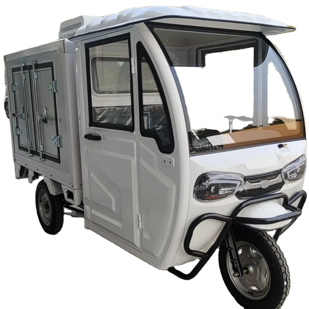 Electric Tricycle Freezer Motor 60V 1000W Fully Closed Cabin for Fresh-Keeping Cold Chain Transportation Ice Cream