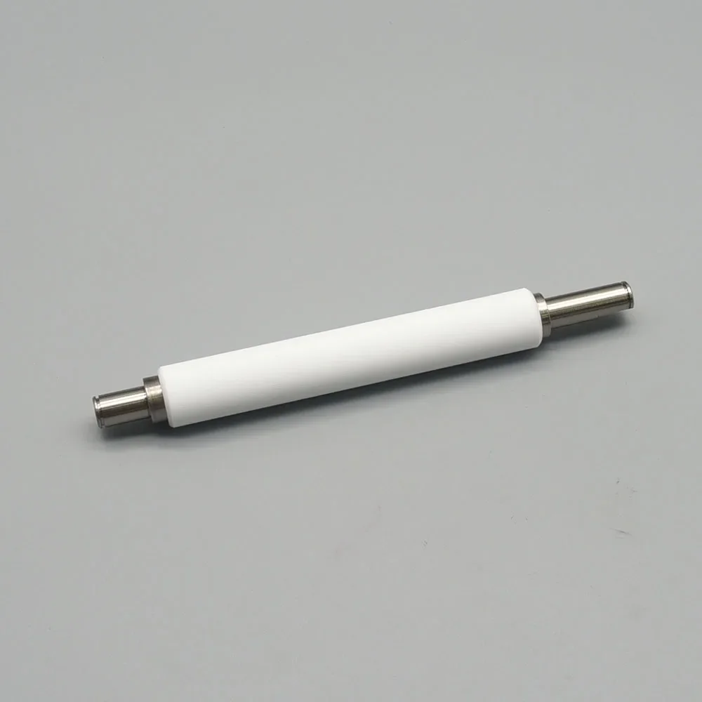 Rodillo de Placa para Impresora Térmica Zebra ZT200 ZT210 ZT220 ZT230 P1037974-028