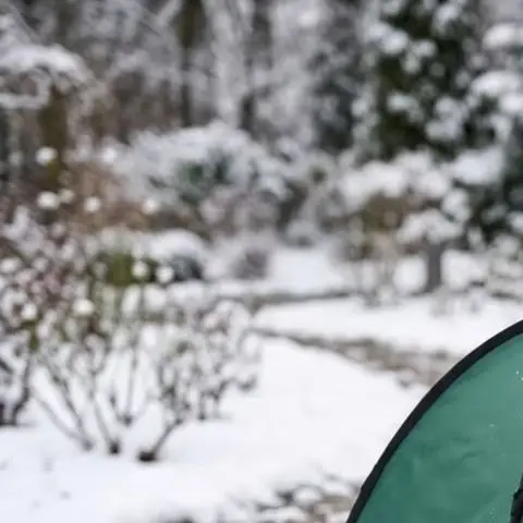 Outdoor Winter Shrub Cover Frost Protection Tent Garden Plant Protector 56x56x56cm Green Non Woven Set with 4 or 8 Ground Nails