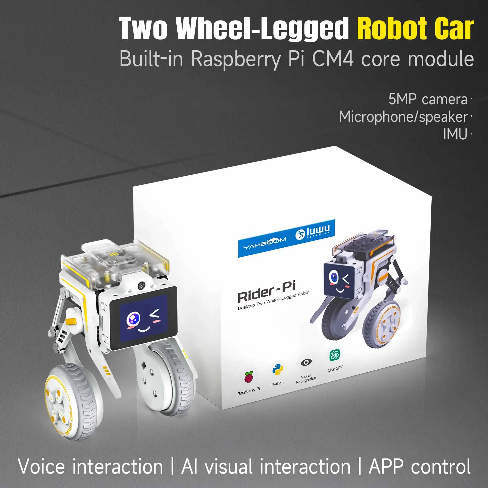 Rider-Pi AI Visual Robot Two Wheel Legged Smart Car Toys with IMU Module Python Programming Support ChatGPT Voice Interaction