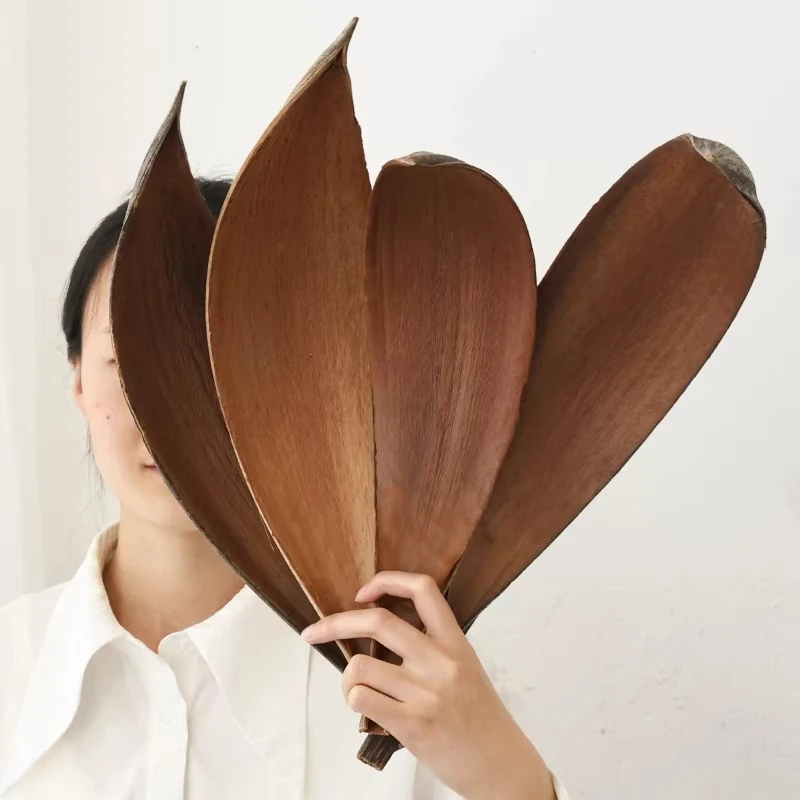 Cocoa Leaves Figurines  Natural Dried Plants Figurines Nordic Living Room Minimalist Ornament Household Aesthetic Decoration
