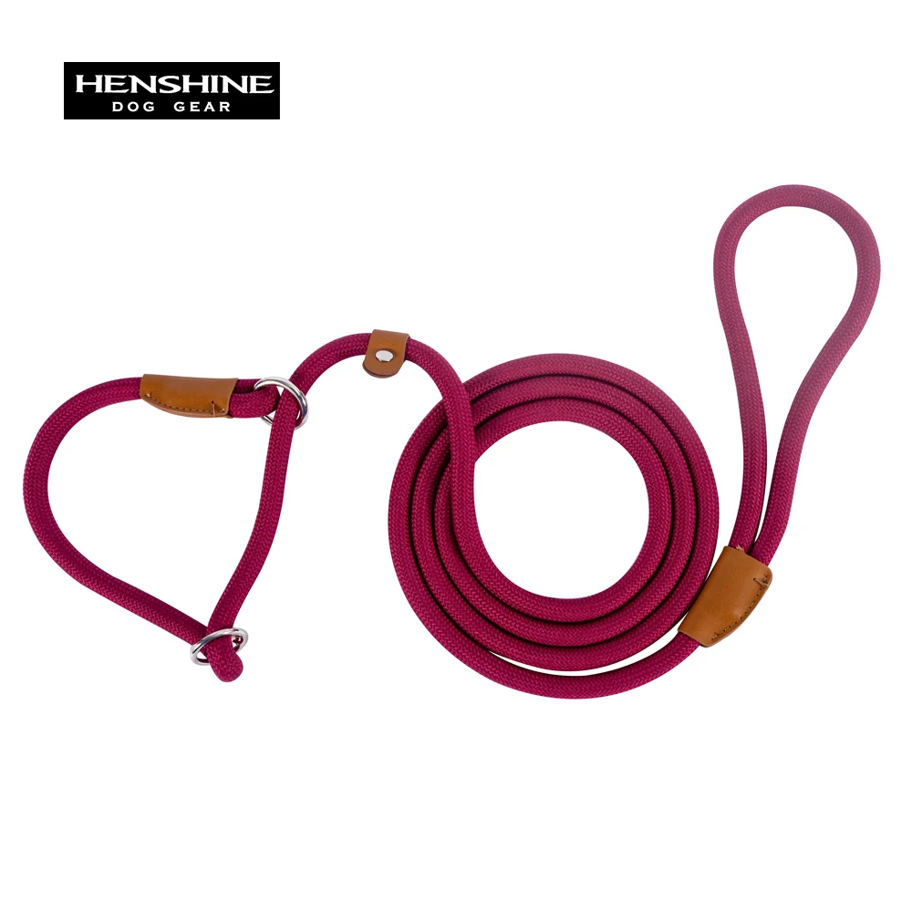 Bequemes langlebiges Nylon-Rutsch seil bestes Hunde leinen halsband verstellbare Gleit verschluss schlaufe mittlere bis große Leine für Hunde haustiere – Detail 8