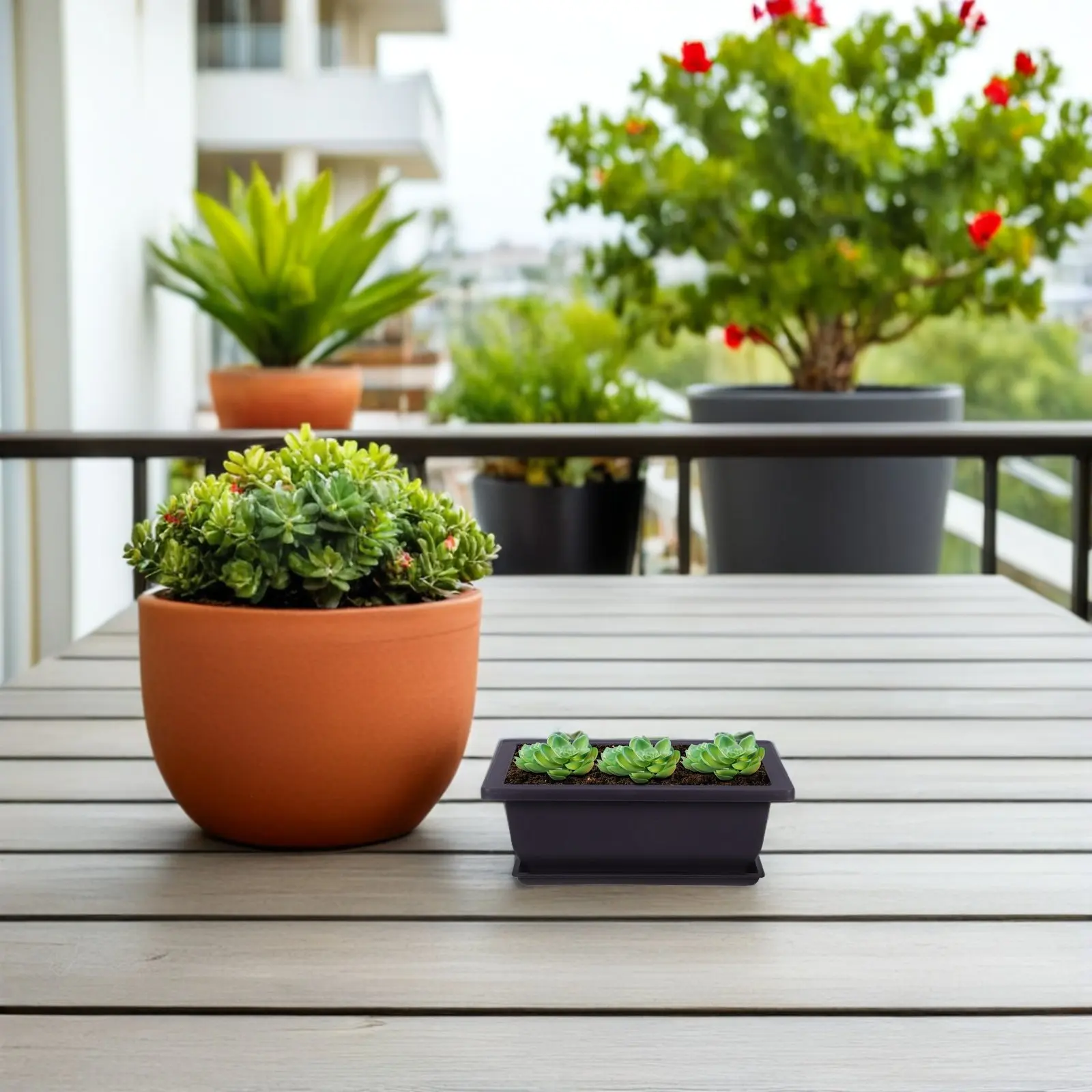 5Pcs Retro Succulent Planter Plastic Rectangular Flower Pot Deep Brown Mini Bonsai Pot Indoor Outdoor Garden Decoration