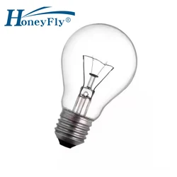 HoneyFly 10pcs A55 Incandescent Bulb E27 B22 220V 40W 60W 100W 95*55mm 2700K Old-fashioned Tungsten Lamp Clear Glass Cover