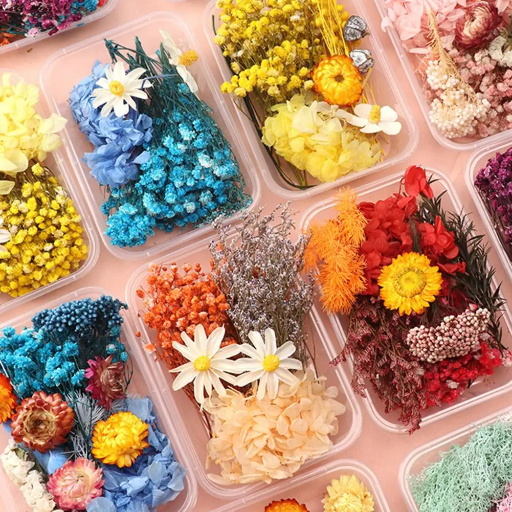 Dried Flowers Kit Real Natural Flowers Bulk Dried Flower DIY Everlasting Flowers Material for Handmade Jewelry Nails Crafts