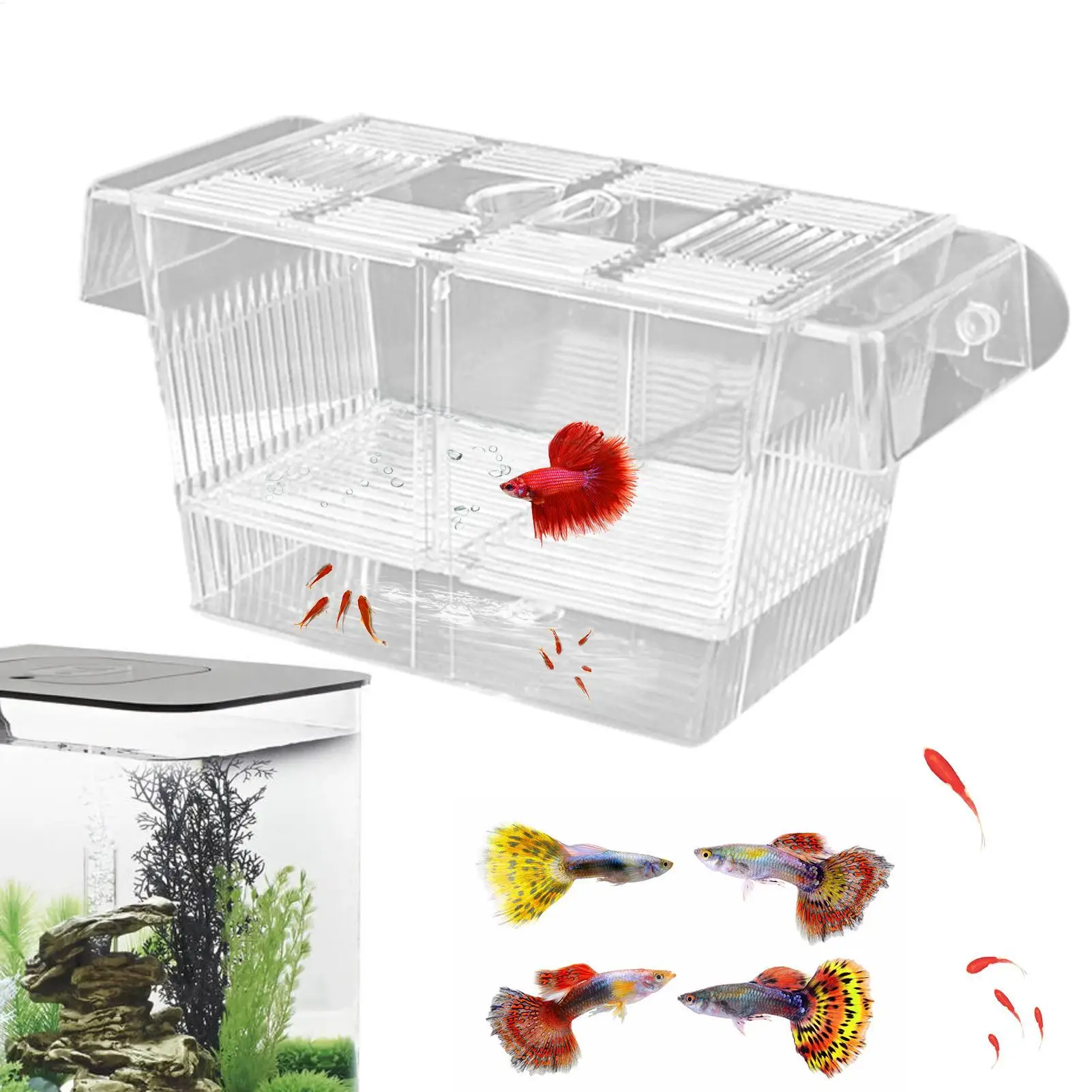 Caja de Cría de Peces, Incubadora de Acrílico, Tanque de Cría, Separador de Peceras, Caja de Cría para Acuarios, Caja de Adaptación de Peces, Núcleo de Cría