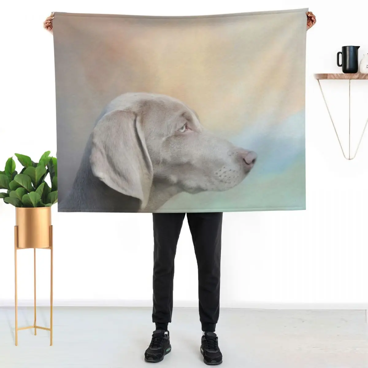 Beautiful Weimaraner Dog Throw Blanket Flannel Sofas Flannels manga Retros Blankets