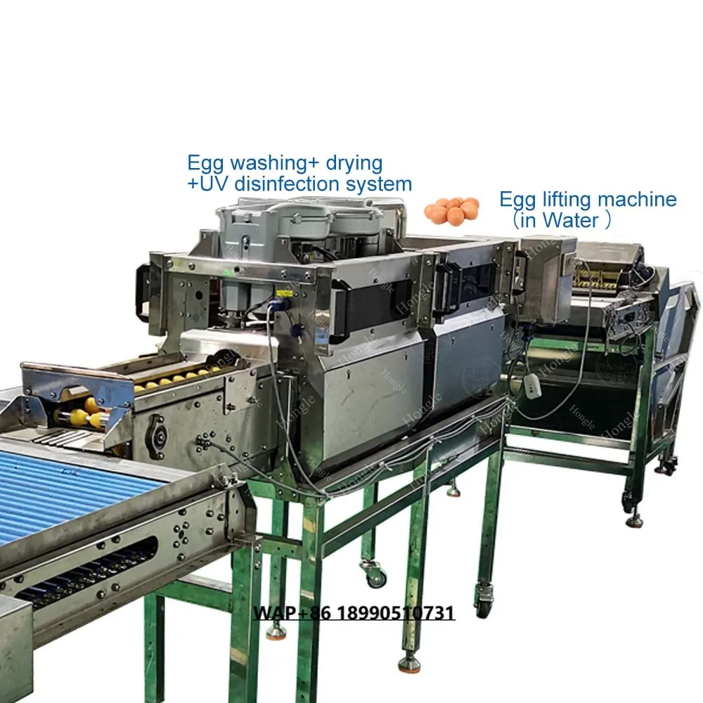 فرشاة تجارية من الفولاذ المقاوم للصدأ، مجفف غسيل البيض، غسالة بيض أوتوماتيكية #2