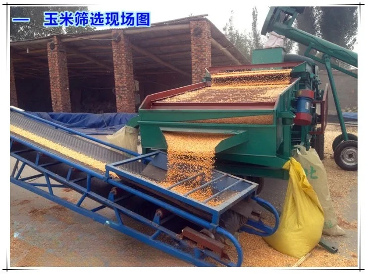 Pemisahan kotoran jagung, ayakan listrik, pembersihan biji-bijian, biji-bijian kudis, debu batu, kejernihan 98%