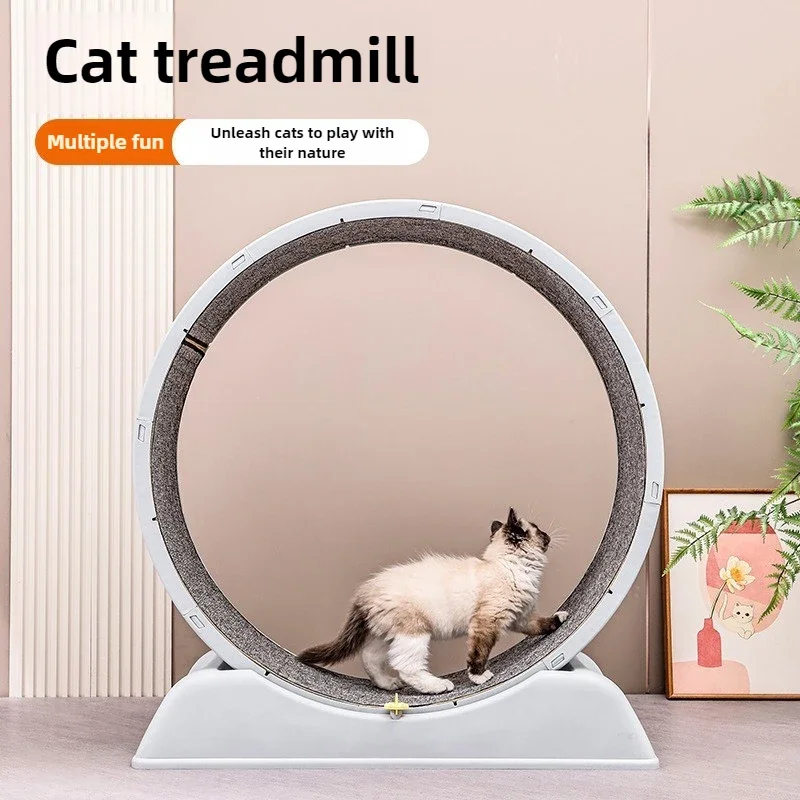 The New Cat Treadmill Is Silent and Does Not Get Stuck Cat Toy Climbing Frame Plastic Fitness Sports Cats Running Wheel