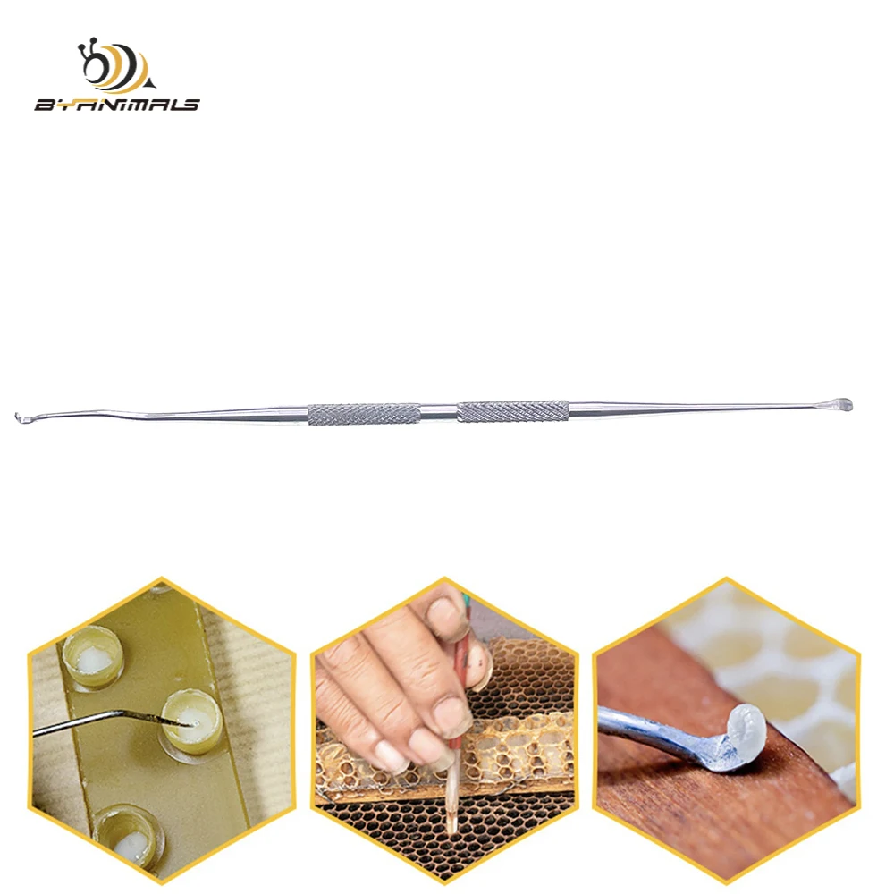 Double End Straight Shape Transferring Or Grafting Larvae Into Cups Artificial Rearing Queen Tool Stainless Steel Apiarists 1PCS