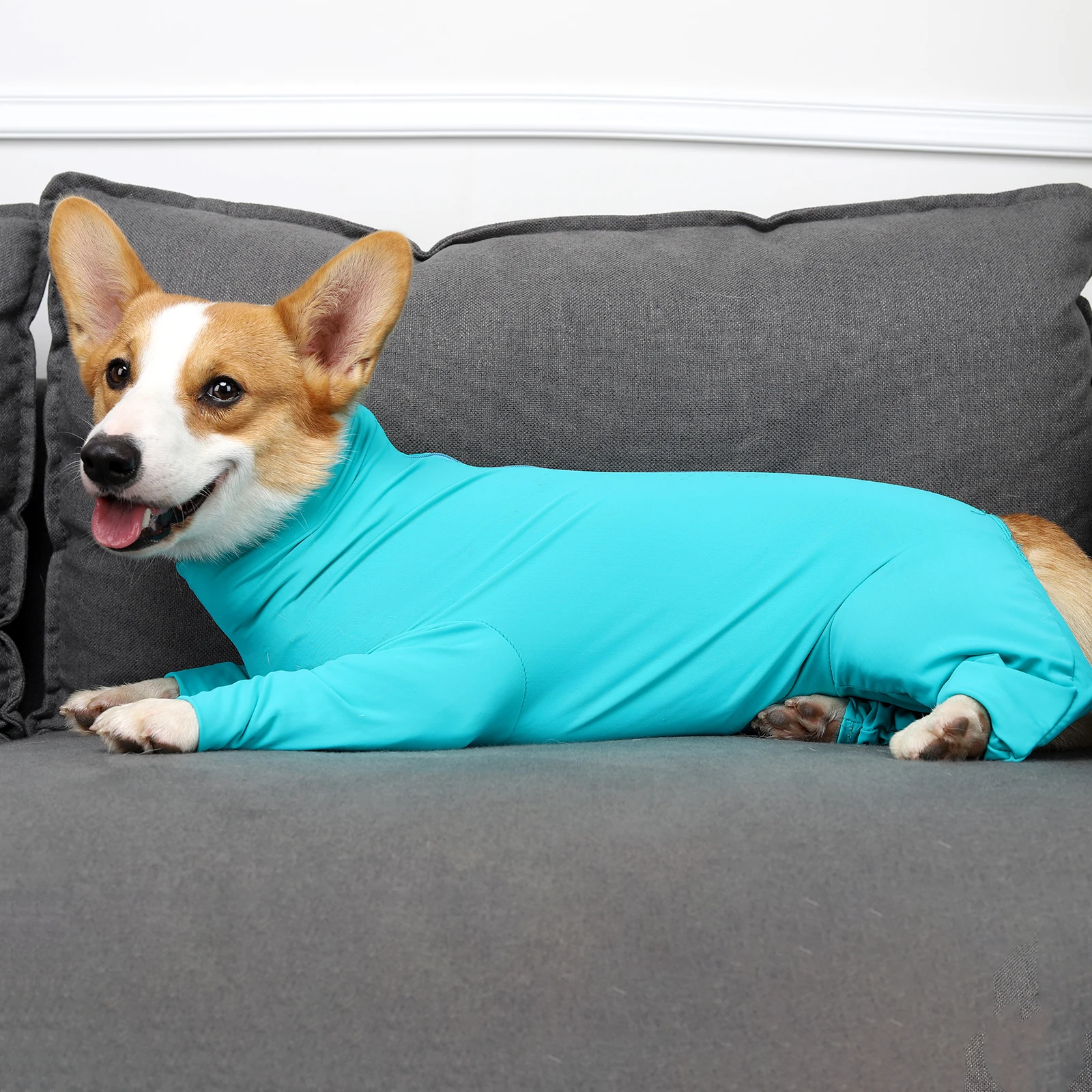 

Dog Long Sleeve Recovery Suit Pet Surgical Anxiety Body Suits Claming Pajamas Prevent Shedding Hair