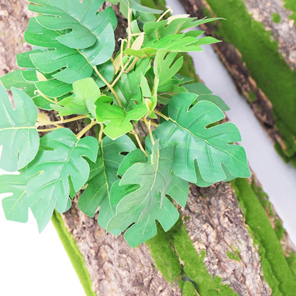 الزواحف تسلق النباح تررم خلفية ديكور شجرة طبيعية النباح آمنة دائم منصة التسلق للمناظر الطبيعية خزان الزواحف