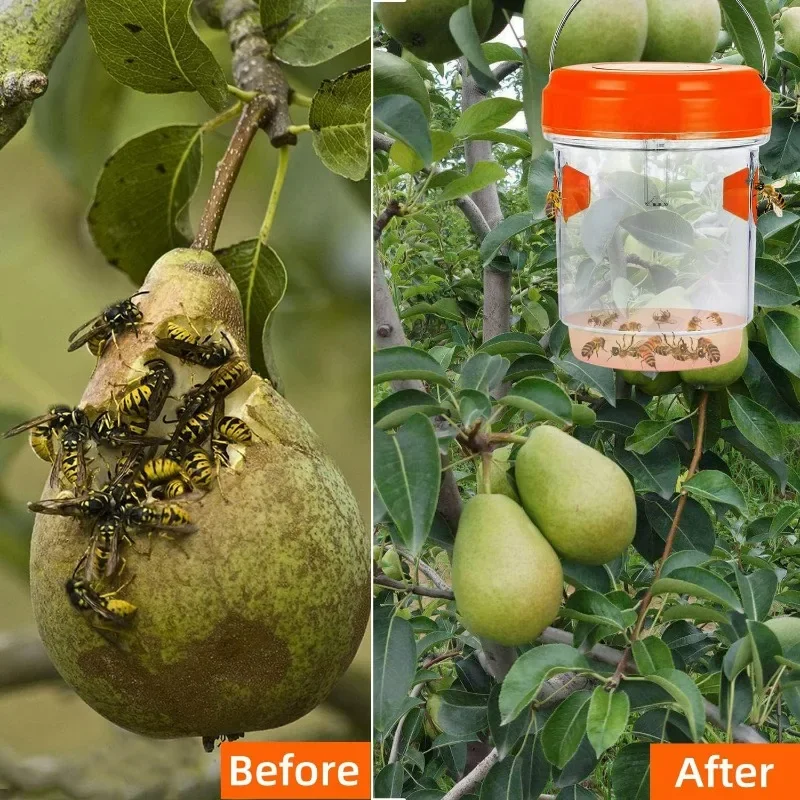 1/3 قطعة فخ دبور كبير مقاوم للماء فخ الدبابير المعلقة للداخلية في الهواء الطلق قابلة لإعادة الاستخدام حديقة الفاكهة جهاز صيد الذباب أدوات مكافحة الآفات