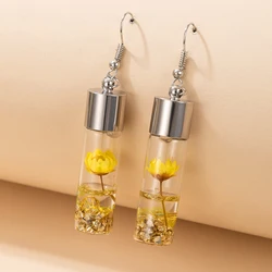 Tocona INS Trendy Dry Daisy Flowers Glass Drop Earrings for Women Charms Handmade Plant Bottle Earrings Party Jewelry 16893