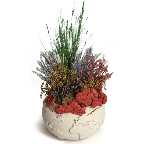 Kibrithane Flower Artificial Flower Concrete Pot Natural Dry Flower Arrangement KC00200830