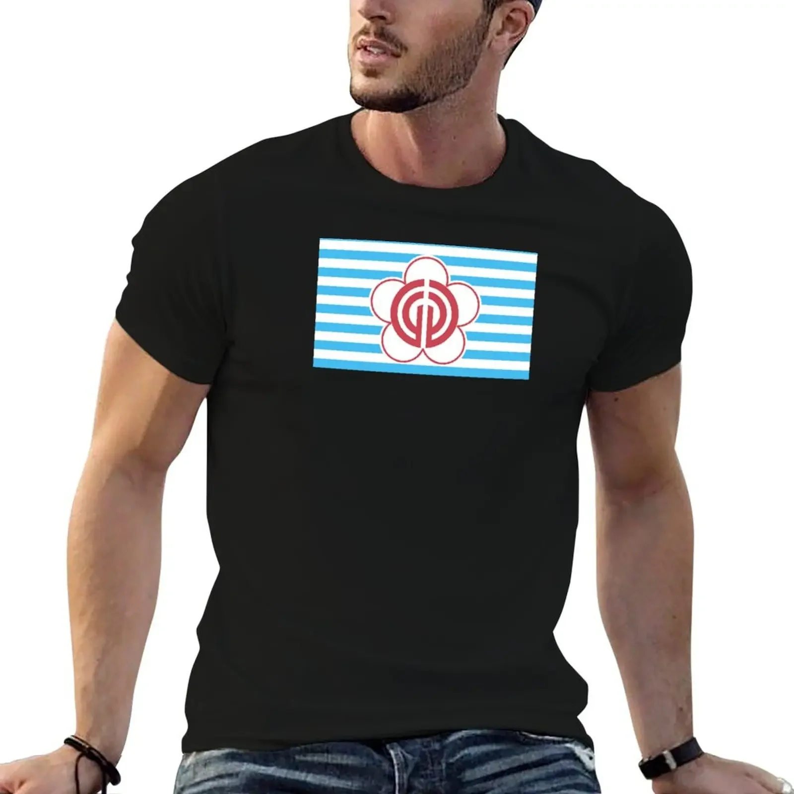 Taipei flag T-Shirt blacks tees luxury t-shirt vintage t shirts t shirts men