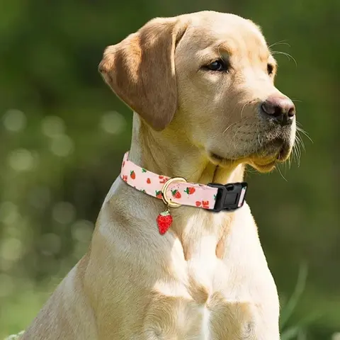 2 पीस एडजस्टेबल पेट कॉलर - गुलाबी स्ट्रॉबेरी और सफ़ेद दिल के आकार का पेंडेंट कॉटन ब्रेकअवे कैट कॉलर बेल के साथ 10 best sales टूटे हुए बिल्ली के कॉलर - №3