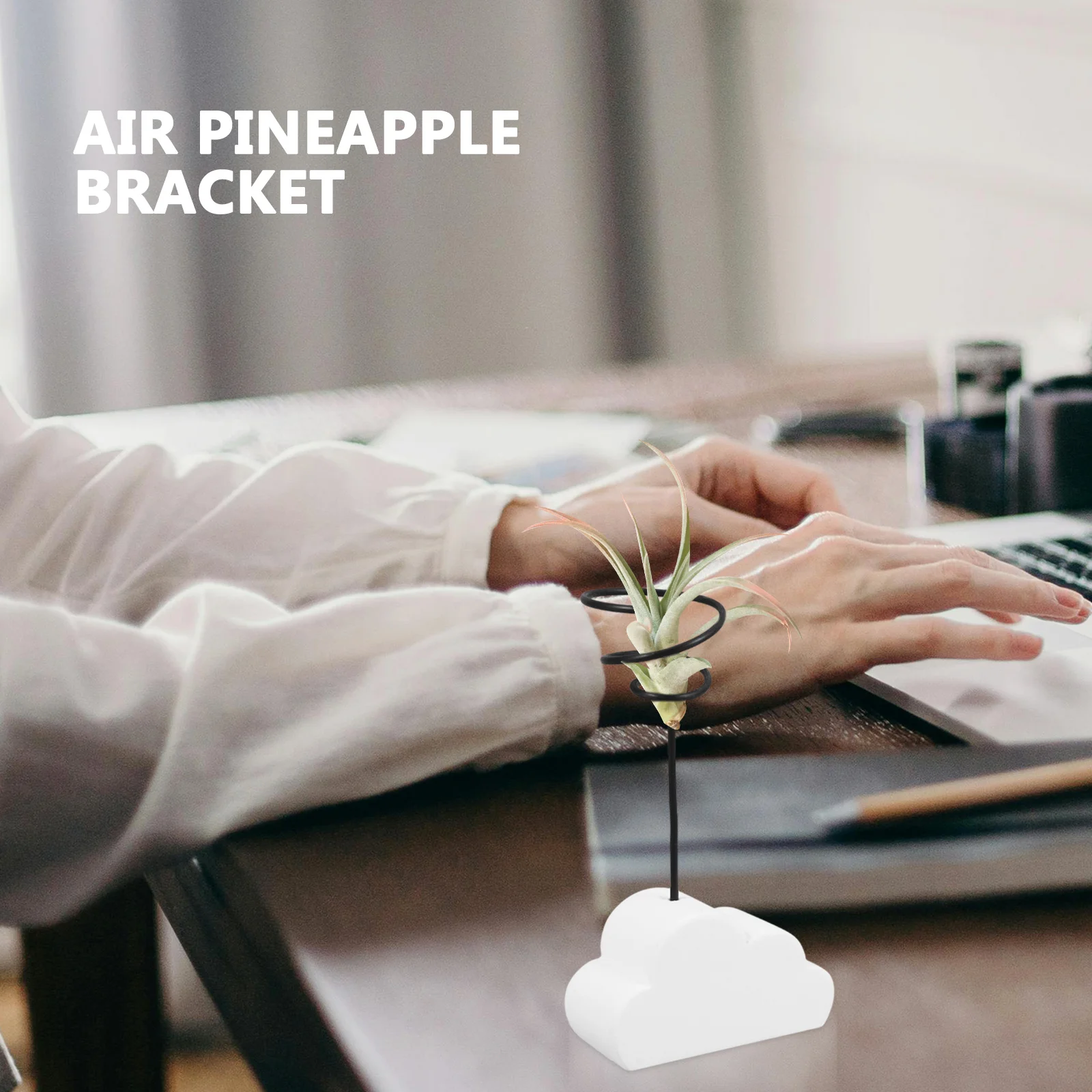 Porta piante ad aria Fioriera in cemento per acqua Supporto decorativo per piante ad aria da tavolo Supporto per piante piccole Display per ufficio domestico