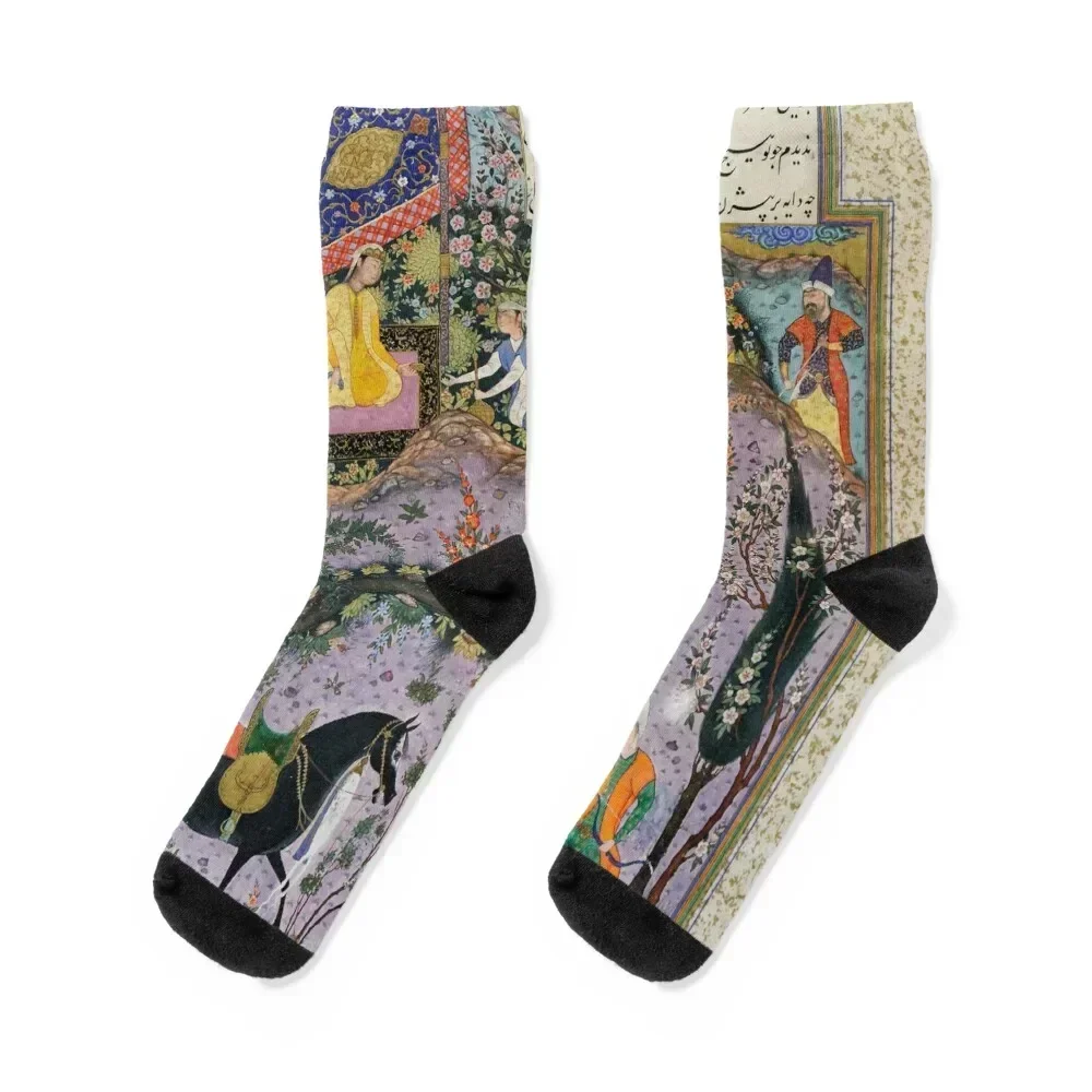 

Shahnameh Socks bright garter cool moving stockings with print Women's Socks Men's
