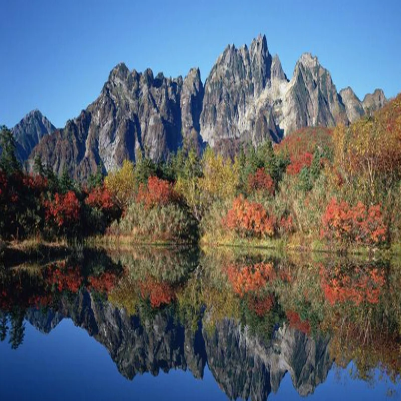 COSMICRC Digitale Servo 1/4PCS 9g Metal Gear Micro Servo's 4.8V ~ 6VDC Motor voor RC vliegtuig Robot Boot Vliegtuig Speelgoed Onderdelen