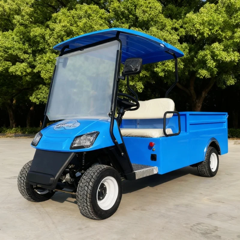جديد بطارية تعمل بالطاقة الكبار عربة جولف كهربائية MacPherson تعليق 2 الركاب عربة شحن كهربائية قابلة للطي مع صندوق البضائع الخلفي