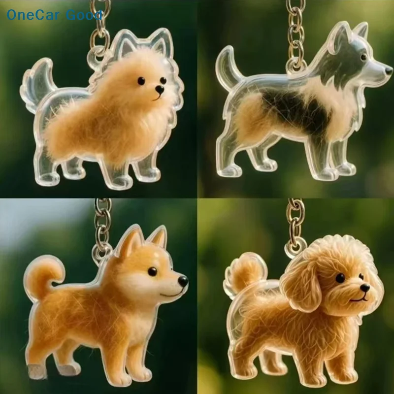 Nova Cápsula Transparente para Guardar Pelos de Cachorro, Lembrança Memorial, Recipiente para Pelos de Animais de Estimação, Pingente DIY, Chaveiro Decorativo, Presentes para Amantes de Animais e Decoração para Casa
