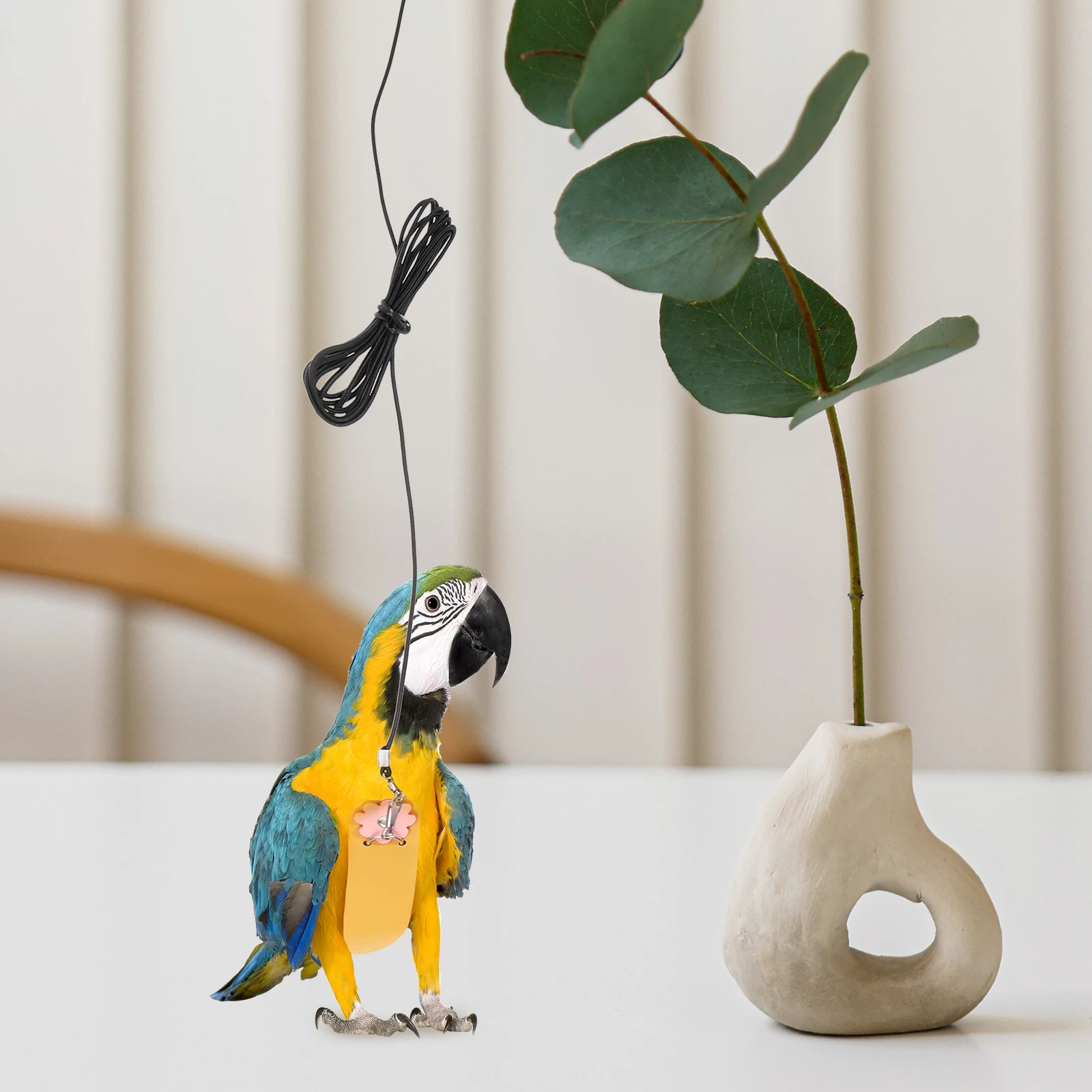 

Adorable Parrot Harness Flight Suit Wear Resistant Bird Pet Waterproof Diapers Suede Portable Leash Bird Toy Lovely Design