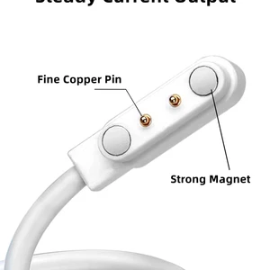 Intelligent Magnetic Watch USB Doco Charger 2Pin 4Pin Ladekabeladapter Lebensmittel für Kinder Smartwatch Squeezer Device Schönheit Pinselzahn Hauptverkaufsmagnetladekabel - №9