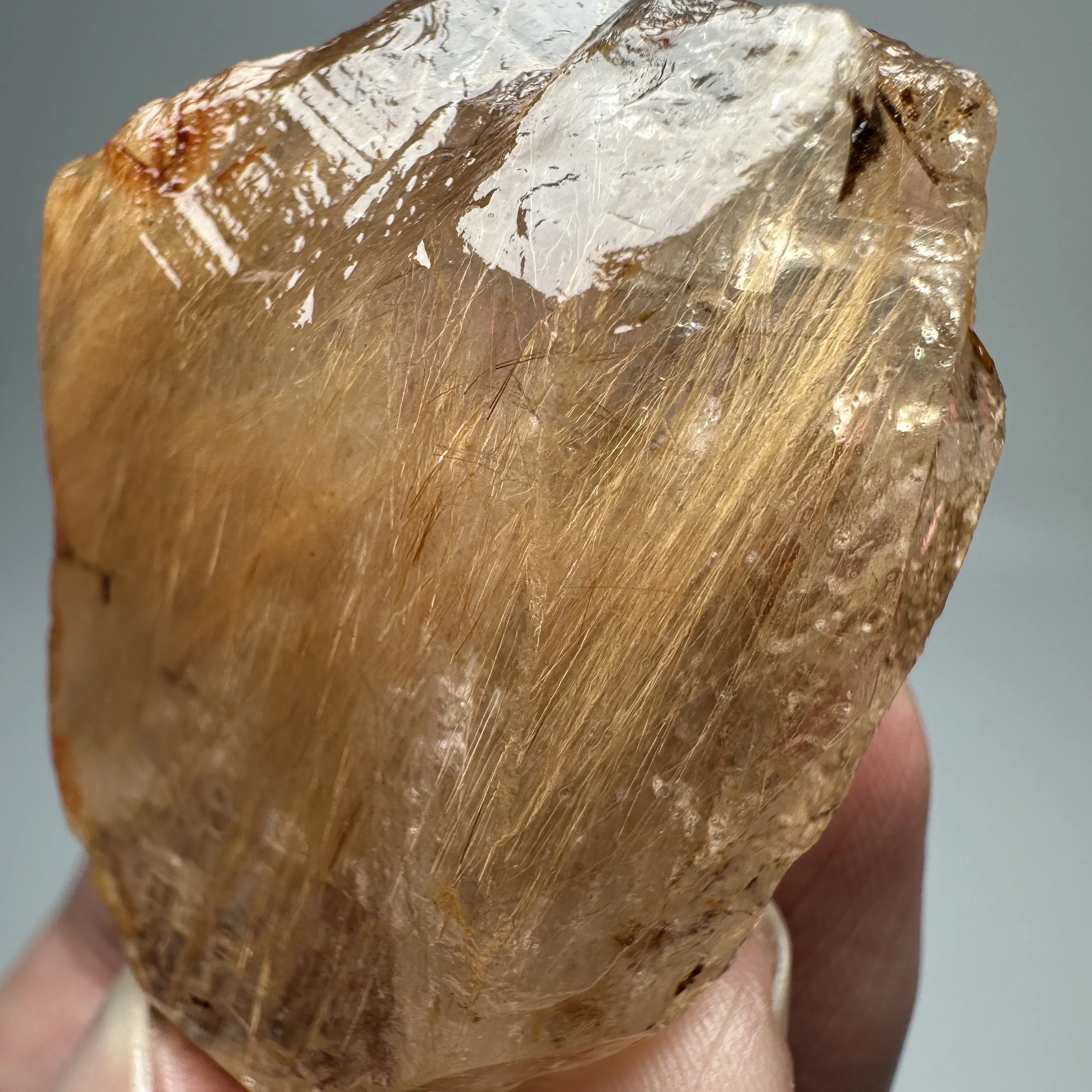 Natural Brazil Gold Rutilated Quartz Hair Crystal and specular hematite symbiosis Mineral Specimen
